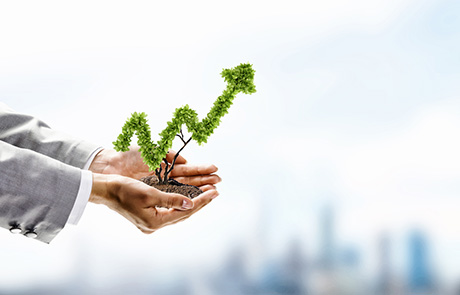 clayton.legal of human hands holding plant shaped like arrow